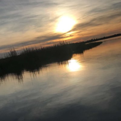 Shaun_Carterr's profile picture. 