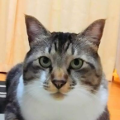 hisashi821さんのプロフィール画像