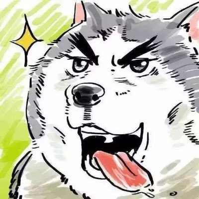 XBader's profile picture. kaggle:0🏅️0🥈0🥉