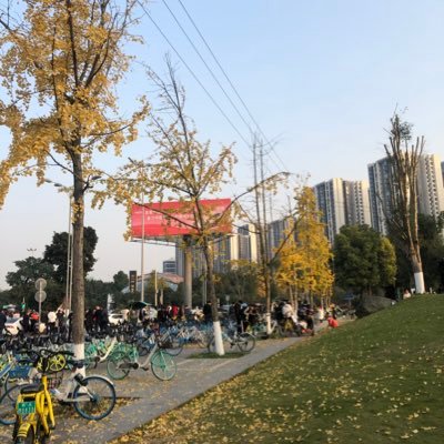 charminglyjade's profile picture. 