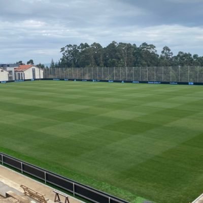 Turf Consultant and Turf Projects Manager. RCCelta Head Groundsman Cidade Deportiva RCCELTA Afouteza