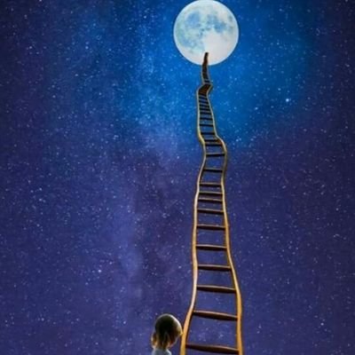 BarhaRohab's profile picture. 🩺
MULTAN 📍