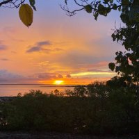 JL (@snoyl_) 's Twitter Profile Photo