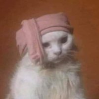 أمي زلطتني سمتني سكيننه🌝🪴 (@asomansken) 's Twitter Profile
