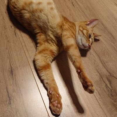 さんそーさんのプロフィール画像