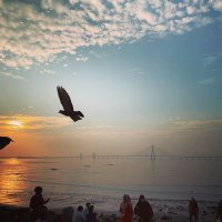 AB (@antzoobee) 's Twitter Profile