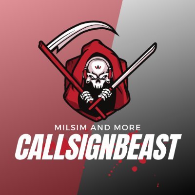 ElvinBajric1's profile picture. I am a software developer and gamer, people call me "Beast"