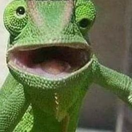 RickardoViti's profile picture. 