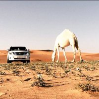 مدهال ∞ ؏ ♩ (@_boo_777) 's Twitter Profile