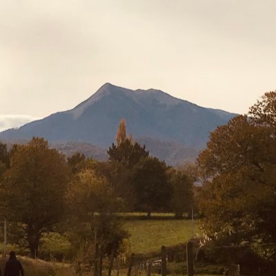 Le village de Soueich, sa beauté, son art, sa culture, sa faune, sa flore.