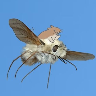 くらむ盆 息抜きしすぎ トラツリアブのストラップは昆虫文献六本脚にて販売中です Urlはこちら T Co 7ouczgyiyz 左から現在販売中の物 13年に見た本物 同じく13年に最初に作った物となっております 雑なコラボ写真です 笑 くらむ盆 息抜きしすぎ トラツリアブのストラップは昆虫文献六本脚にて販売中です Urlはこちら T Co 7ouczgyiyz 左から現在販売中の物 13年に見た本物 同じく13年に最初に作った物となっております 雑なコラボ写真です 笑