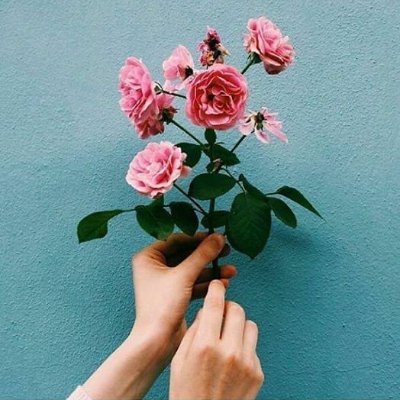 Fatima89885213's profile picture. .