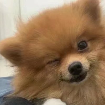 キンチャさんのプロフィール画像