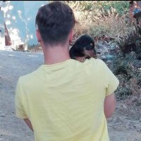 Serkan Demir (@srrkandmr10) Twitter profile photo