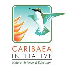 CaribaeaI Profile Picture