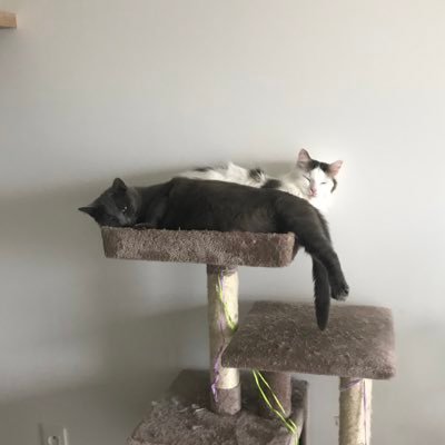 C'est moi Soso, C'est toi Lili C'est toi le gros et moi l’petit Toujours ensemble, toujours unis On se dispute mais qu'est-ce qu'on rit Nous sommes Soso et Lili