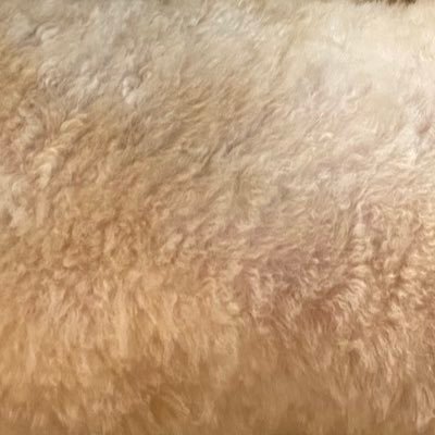 decoさんのプロフィール画像
