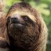 An English Slothπ¬π§ (@slothenglish) Twitter profile photo An English Slothπ¬π§ (@slothenglish) Twitter profile photo
