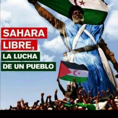 Sahara libre viva rasd western sahara sahara occidental البوليساريو الصحراوي لبوليزاريو الصحراء الغربية 🇪🇭🇪🇭