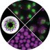 Karsten Weis Lab (@karstenweislab) Twitter profile photo Karsten Weis Lab (@karstenweislab) Twitter profile photo