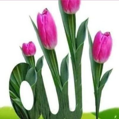faKFKTOJxbzOcbI's profile picture. وقل رب زدنى علما