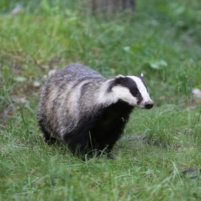 Tja, mitt namn är Joakim. Jobbar naturligtvis som naturfotograf och funderar inte på att sluta.