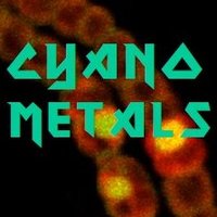 Cyanometals (@cyanometals) 's Twitter Profile Photo Cyanometals (@cyanometals) 's Twitter Profile Photo
