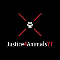 Justice4animalsYT (@justice4animal2) 's Twitter Profile Photo Justice4animalsYT (@justice4animal2) 's Twitter Profile Photo