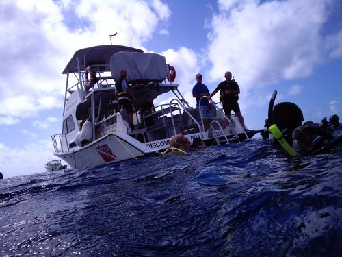 Disneytech08's profile picture. 