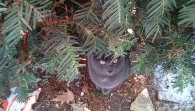 grannyAnniePo's profile picture. Bible believing patriot love my husband my country and God and the constitution.#Patriot #christian.