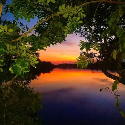 juanmgomez91's profile picture. 