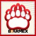 Bearmex (@Bearmex) Twitter profile photo