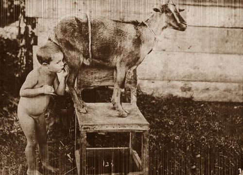 newmangos's profile picture. 