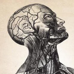 rabed360's profile picture. Cirugía de Cabeza y Cuello