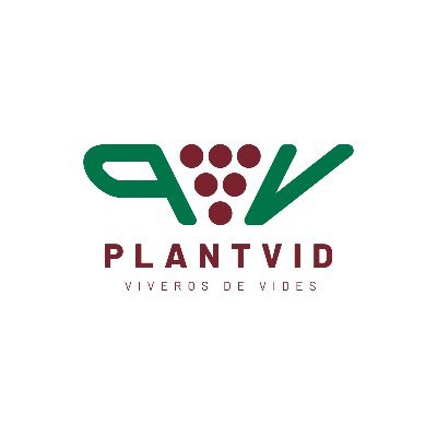 Empresa dedicada a la producción, elaboración y comercialización de plantas de viña