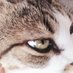 ceffun@gmail.com (@ceffunbenimlan) Twitter profile photo ceffun@gmail.com (@ceffunbenimlan) Twitter profile photo