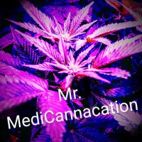 Mr.MediCannacation(@medicannacation) 's Twitter Profile Photo