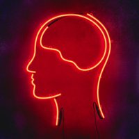Smarter Every Day (@smartereveryday) 's Twitter Profile Photo Smarter Every Day (@smartereveryday) 's Twitter Profile Photo