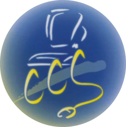 ccsdirect's profile picture. We service, support and repair all brands of PC computers and Notebooks in the local area.