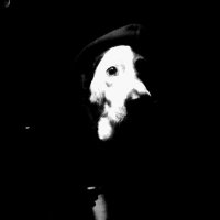 Rob Ptrsn (@robptrsn) 's Twitter Profile