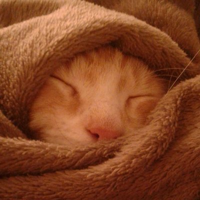 MandikianJ's profile picture. 