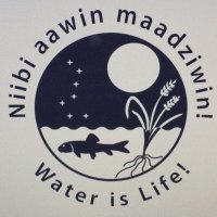 NancyRowe (@giidaakunadaad1) 's Twitter Profile