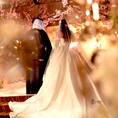 أرجو المصداقية في الزواج قبل تسليم الرقم من الطرفين 350 ﷼وبعد العقد 3000اللي مو جاد لا يجيني خاص📌🛑🛑 للجديه فقط / تنتهي مهمتي عند استلام الارقام