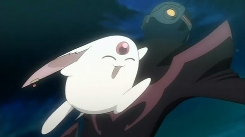 Poett63's profile picture. Lic. Comerco Internacional.