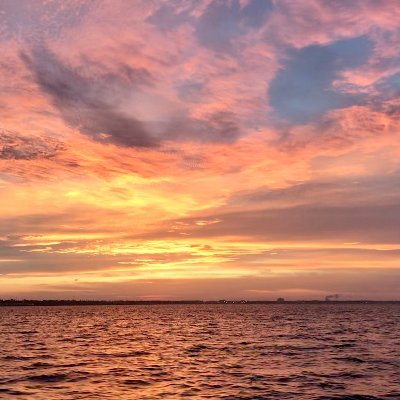 Community Experience Profile