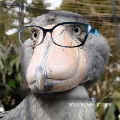 春田(はるた)さんのプロフィール画像