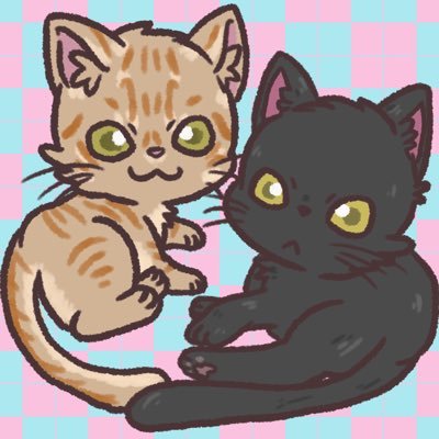 ティーグル ♂茶トラ🐈 ノアール ♀黒🐈⬛ 2020.6.14生まれ 『ティグノア 』でyoutube不定期配信🎥