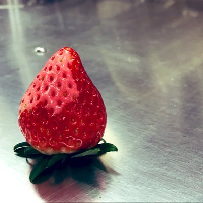 1583farmer's profile picture. - いちご屋 なお - 作付3作目。益子町で新規就農。現在は旧二宮町。31歳。イチゴだけじゃなく好きなことも呟きます。よろしくお願いしまーす！