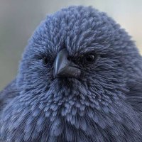 Tuğba Tura (@tugbatura) 's Twitter Profile