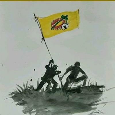 KRNallamala's profile picture. 